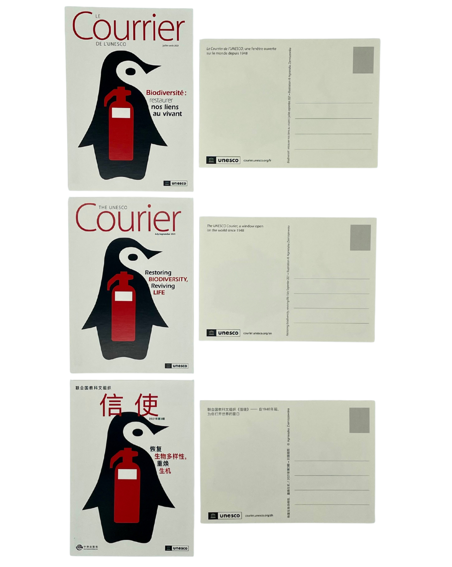 Carte Postale Le Courrier de l'UNESCO: Biodiversité restaurer