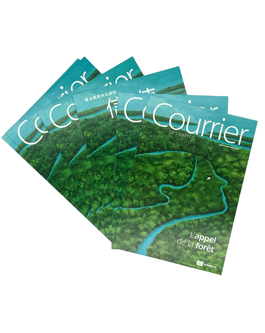 Postcard The UNESCO Courier: The call of the Forest