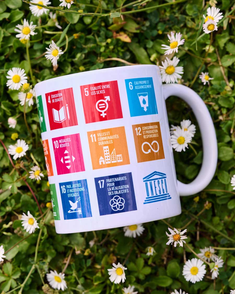 Sustainable Development Goals (SDGs) Mug