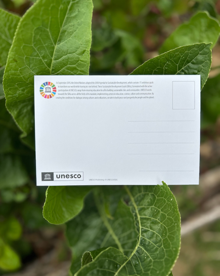 SDG Postcard