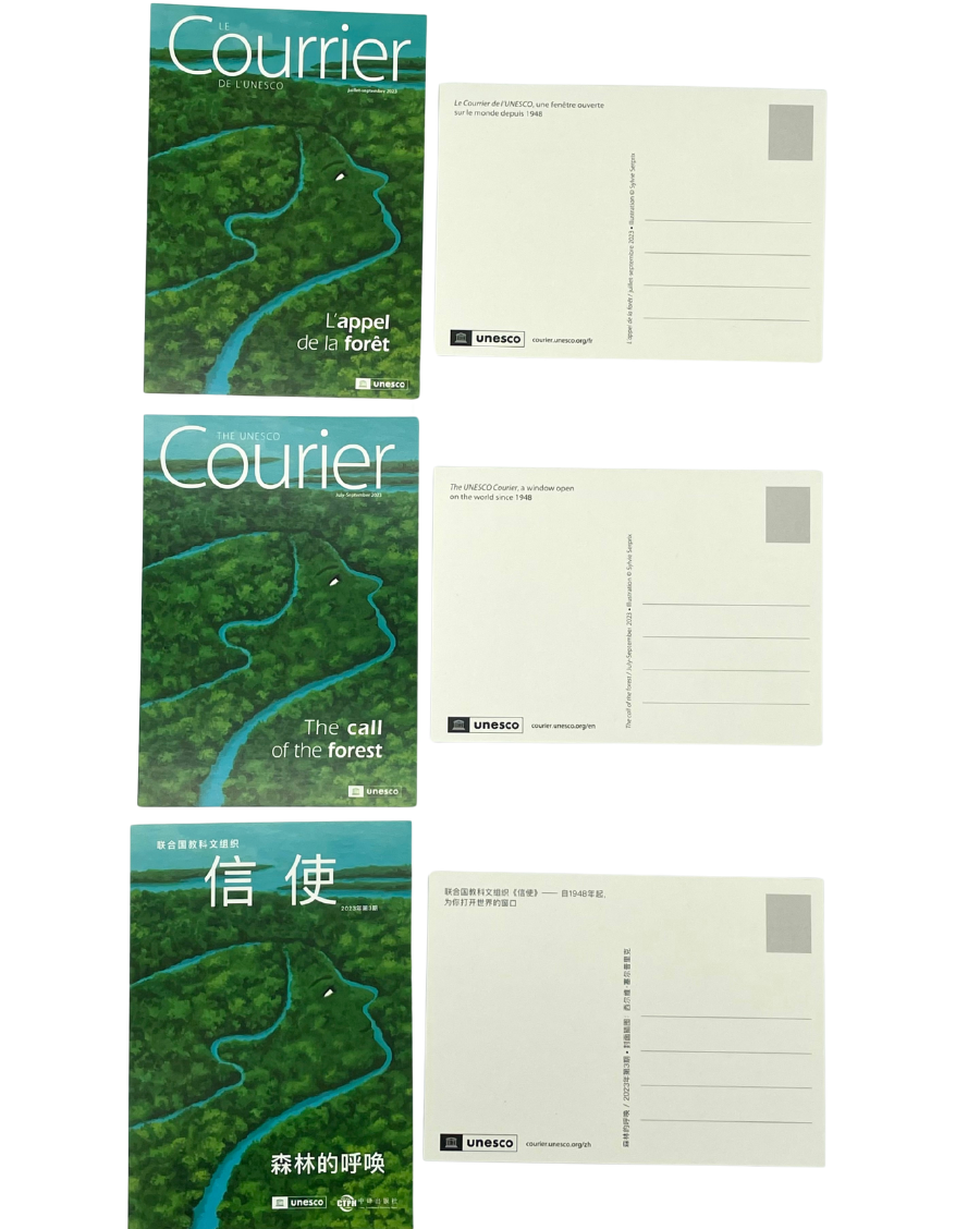 Postcard The UNESCO Courier: The call of the Forest