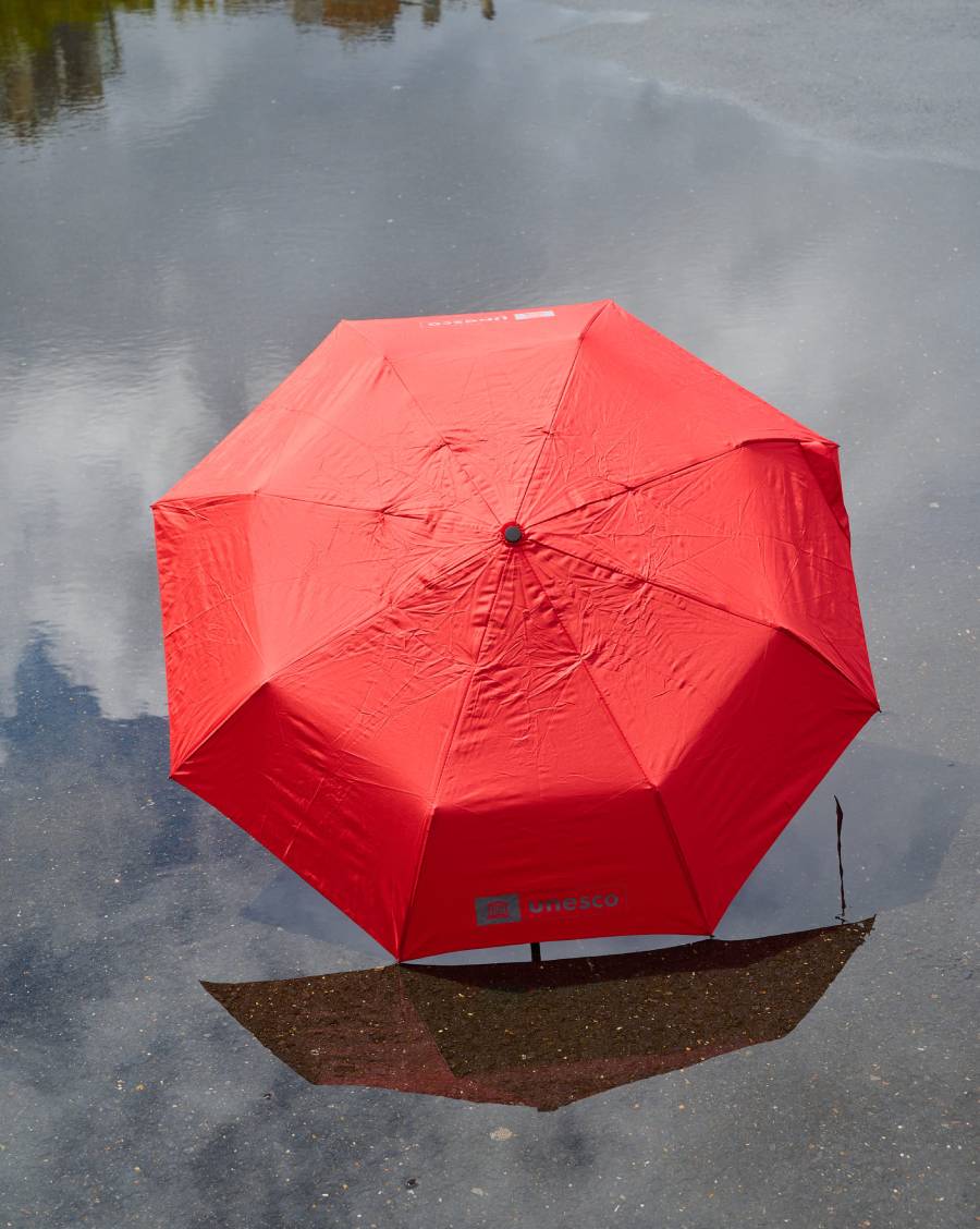 Parapluie Pliable automatique